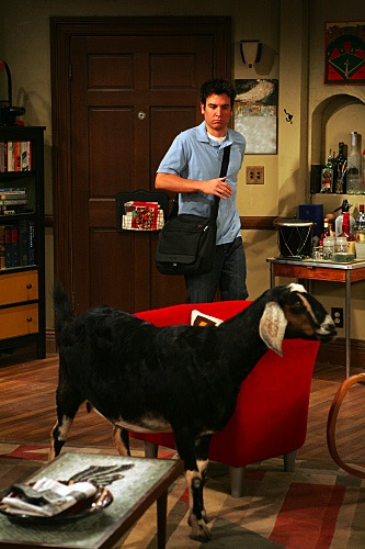 Illustration for article titled How I Met Your Mother: "The Naked Man"